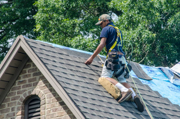 Best Roof Waterproofing Services  in North Barrington, IL